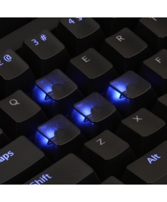 AN EXAMPLE: Max Keyboard Custom Black Translucent Cherry MX Blank Keycap Set for ESC, W,A,S,D or E,S,D,F and Arrow Keys