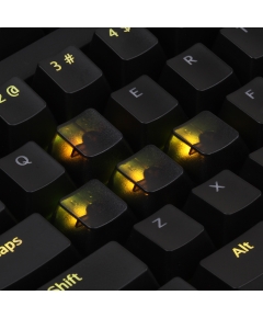 AN EXAMPLE: Max Keyboard Custom Black Translucent Cherry MX Blank Keycap Set for ESC, W,A,S,D or E,S,D,F and Arrow Keys