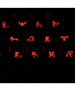 Max Keyboard R4 1x1 Cherry MX "Chinese Astrology Animal Sign" backlight Keycap Set