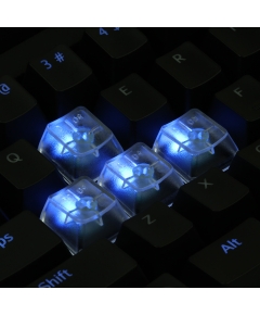 An Example: Max Keyboard Custom Clear Translucent Cherry MX Blank Keycap Set for ESC, W,A,S,D or E,S,D,F and Arrow Keys