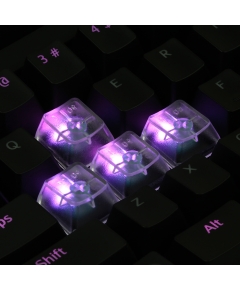 An Example: Max Keyboard Custom Clear Translucent Cherry MX Blank Keycap Set for ESC, W,A,S,D or E,S,D,F and Arrow Keys