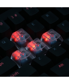 An Example: Max Keyboard Custom Clear Translucent Cherry MX Blank Keycap Set for ESC, W,A,S,D or E,S,D,F and Arrow Keys