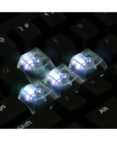 An Example: Max Keyboard Custom Clear Translucent Cherry MX Blank Keycap Set for ESC, W,A,S,D or E,S,D,F and Arrow Keys