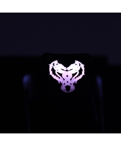 Max Keyboard Custom R4 "Double Dragon" Backlight Cherry MX Keycap