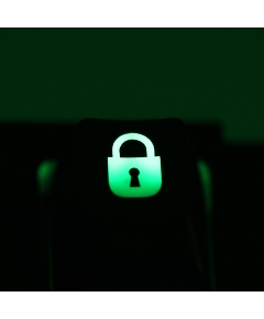 Max Keyboard Custom R4 "Padlock" Backlight Cherry MX Keycap