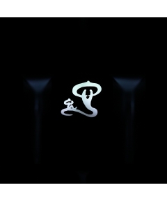 Max Keyboard Custom R4 Chinese Astrology "Snake" Animal Sign Backlight Cherry MX Keycap