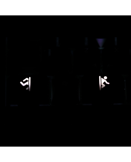 Max Keyboard R1 / B profile row 1x1.5 Cherry MX "Portal" Custom Backlight Keycap Set