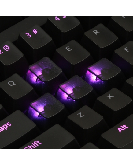 AN EXAMPLE: Max Keyboard Custom Black Translucent Cherry MX Blank Keycap Set for ESC, W,A,S,D or E,S,D,F and Arrow Keys