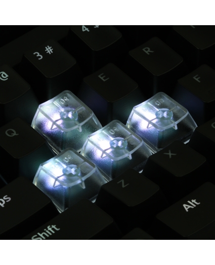 An Example: Max Keyboard Custom Clear Translucent Cherry MX Blank Keycap Set for ESC, W,A,S,D or E,S,D,F and Arrow Keys
