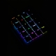 MAX FALCON-20 RGB Programmable mini macropad mechanical keyboard (Assembled)